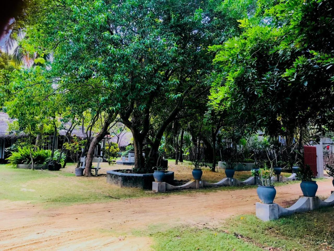 Werala Beach Resort Калпития Экстерьер фото