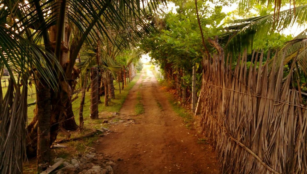 Werala Beach Resort Калпития Экстерьер фото